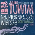 Najpiękniejsze wiersze - Słoń Trąbalski i inne - audiobook