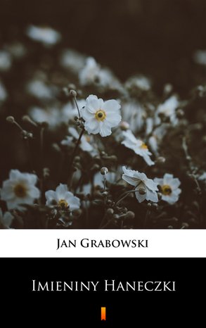 Imieniny Haneczki – ebook