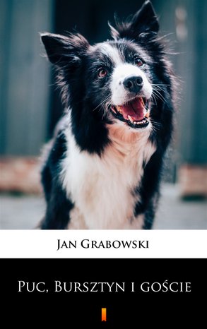 Puc, Bursztyn i goście – ebook