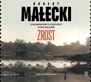 Zrost – audiobook