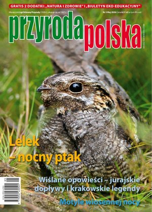 hobby, sport, rozrywka: Przyroda Polska – e-wydanie – 5/2026