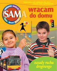 Sam wracam do domu - ebook, Małgorzata Głuch