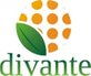 Divante