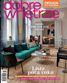 e-prasa: Dobre Wnętrze – 11/2020