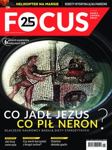 e-prasa: Focus – 1/2021