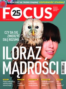 e-prasa: Focus – 4/2021