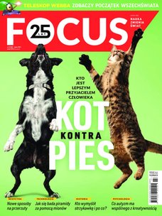 e-prasa: Focus – 7/2021