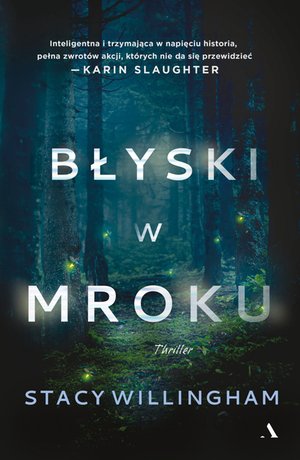 Błyski w mroku – ebook