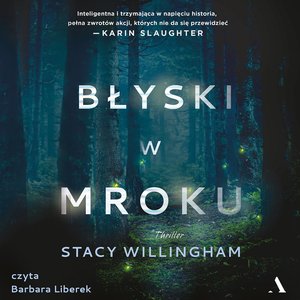 Błyski w mroku – audiobook