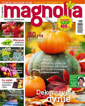 Magnolia 11/2015 – ebook