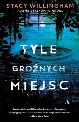Tyle groźnych miejsc – ebook