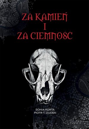 Za kamień i za ciemność – ebook