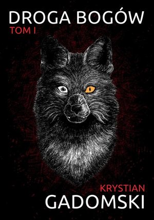 Droga bogów T.2 – ebook