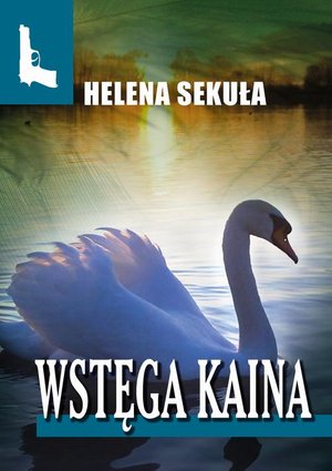 Wstęga Kaina – ebook