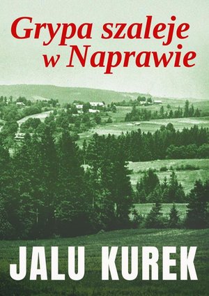 Grypa szaleje w Naprawie &ndash; ebook