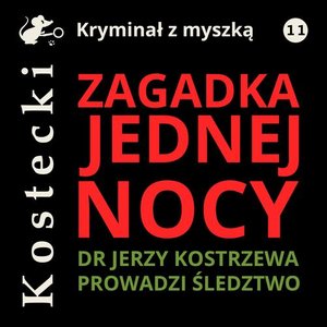Zagadka jednej nocy – audiobook
