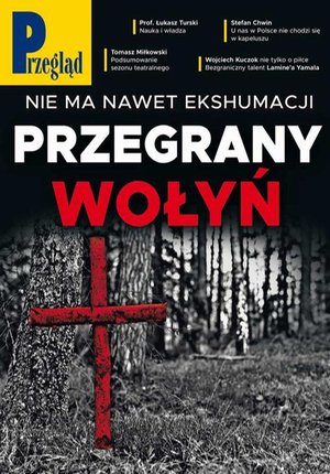Przegląd. 29 – ebook