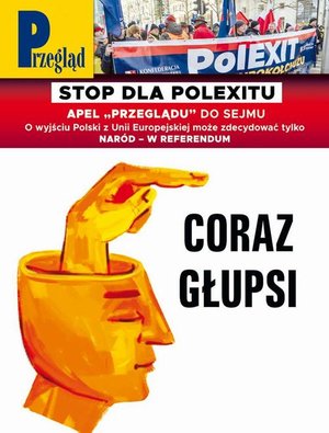 Przegląd. 8 &ndash; ebook