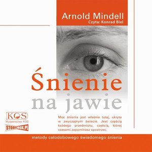 Śnienie na jawie. Metody całodobowego świadomego śnienia – audiobook