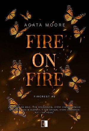 Fire on Fire &ndash; ebook