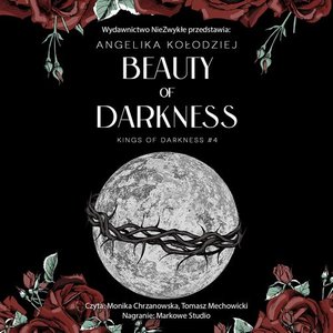 Beauty of Darkness – audiobook