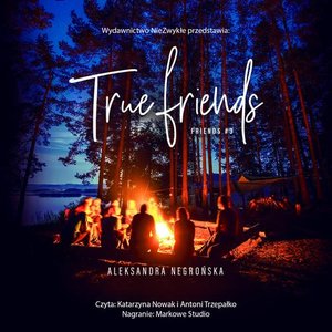True Friends – audiobook