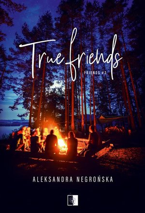 True Friends – ebook