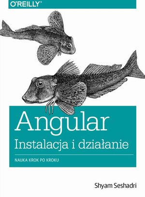 Angular instalacja i działanie: Nauka krok po kroku – ebook