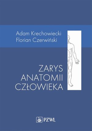 Zarys anatomii człowieka – ebook