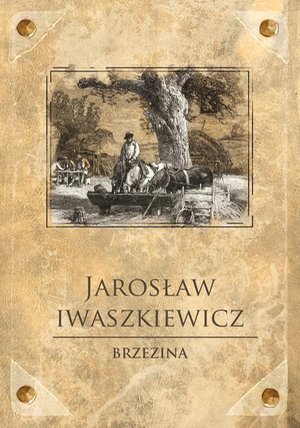 Brzezina – ebook