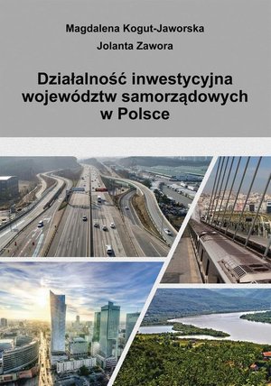 Działalność inwestycyjna województw samorządowych w Polsce – ebook