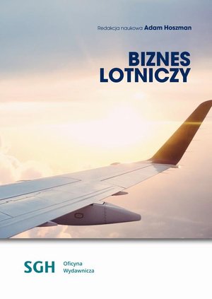 Biznes lotniczy &ndash; ebook