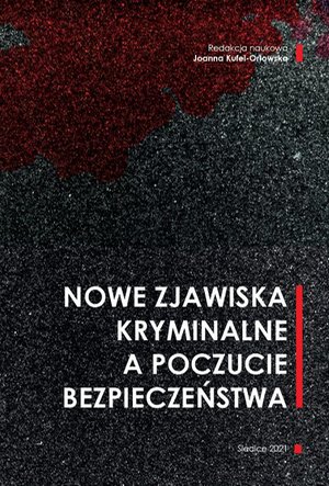 Nowe zjawiska kryminalne a poczucie bezpieczeństwa – ebook