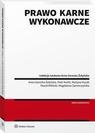 Prawo karne wykonawcze – ebook