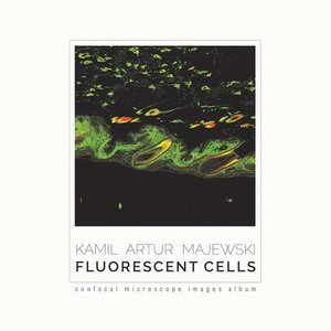Fluorescent cells. Confocal microscope images album &ndash; ebook