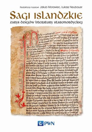 Sagi islandzkie: Zarys dziej&oacute;w literatury staronordyckiej &ndash; ebook