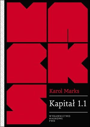 Kapitał 1.1. Rezultaty bezpośredniego procesu produkcji – ebook