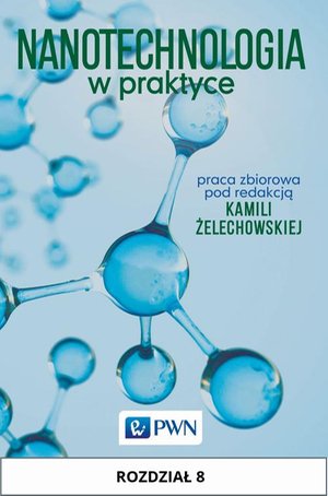Nanotechnologia w praktyce. Rozdział 8: Nanorurki węglowe &ndash; ebook