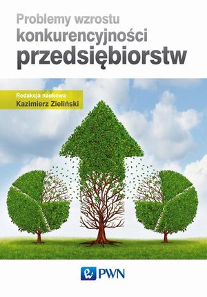 Problemy wzrostu konkurencyjności przedsiębiorstw &ndash; ebook