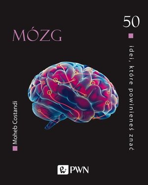 50 idei, które powinieneś znać Mózg – ebook