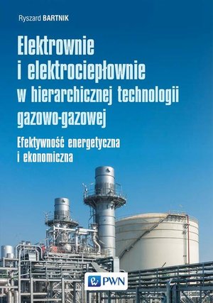 Elektrownie i elektrociepłownie w hierarchicznej technologii gazowo-gazowej: Efektywność energetyczna i ekonomiczna – ebook
