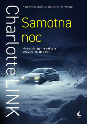 Samotna noc – ebook