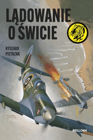 Lądowanie o świcie – ebook