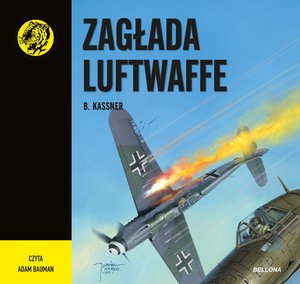 Zagłada Luftwaffe – audiobook