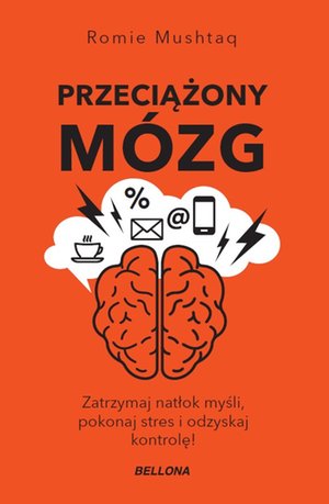 Przeciążony mózg – ebook