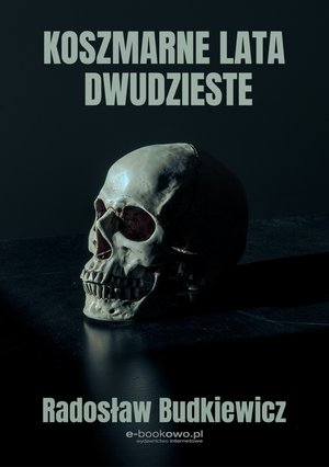 Koszmarne lata dwudzieste – ebook