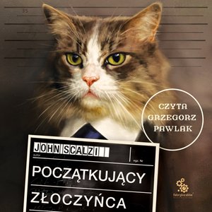 Początkujący złoczyńca – audiobook