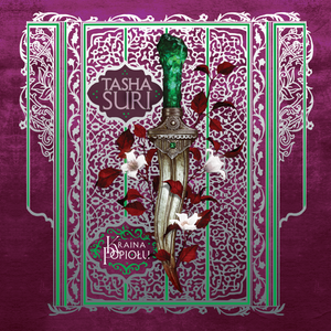 Kroniki Amhy 2: Kraina popiołu – audiobook