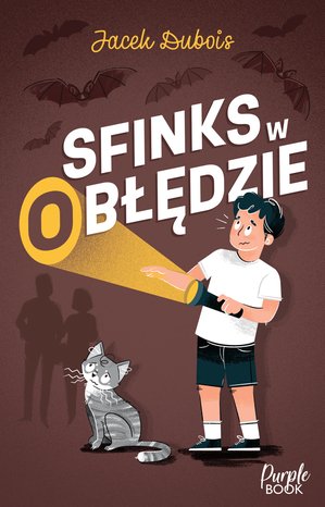 Sfinks w (o)błędzie – ebook