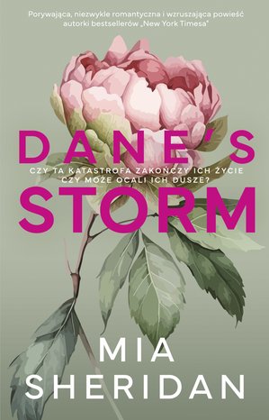 Dane's Storm – ebook
